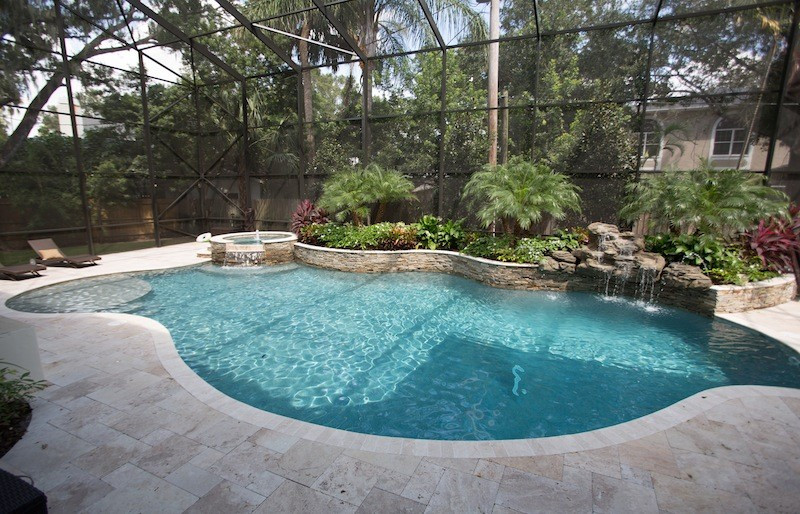 009 - Freeform Pool with Raised Spa and Landscape