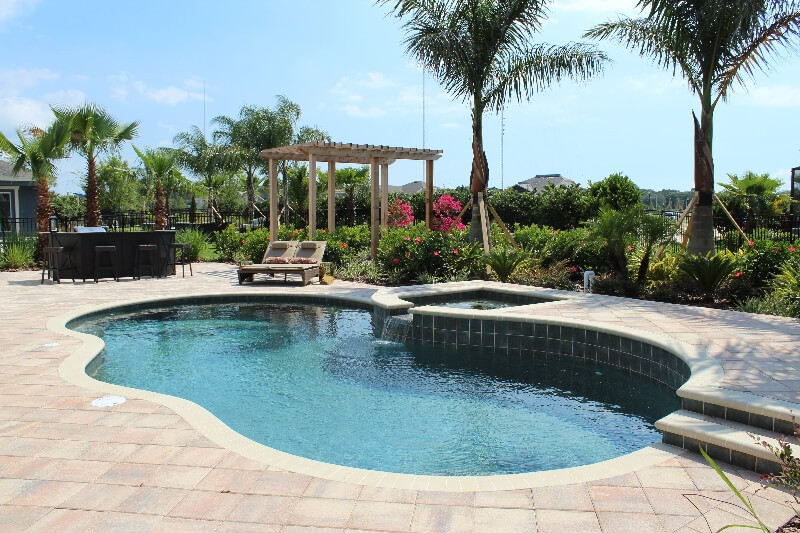 0150 - Freeform Pool with Raised Spa