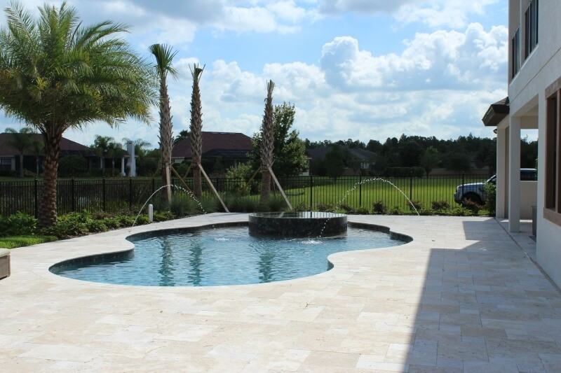 2002 - Freeform Pool with Raised Spa and Deck Jets