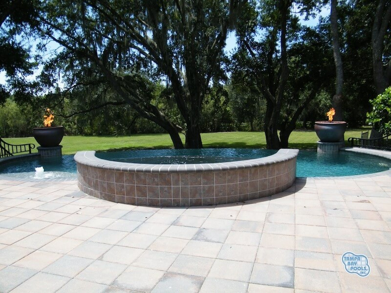 022 - Freeform Pool and Raised Spa with Fire Bowls