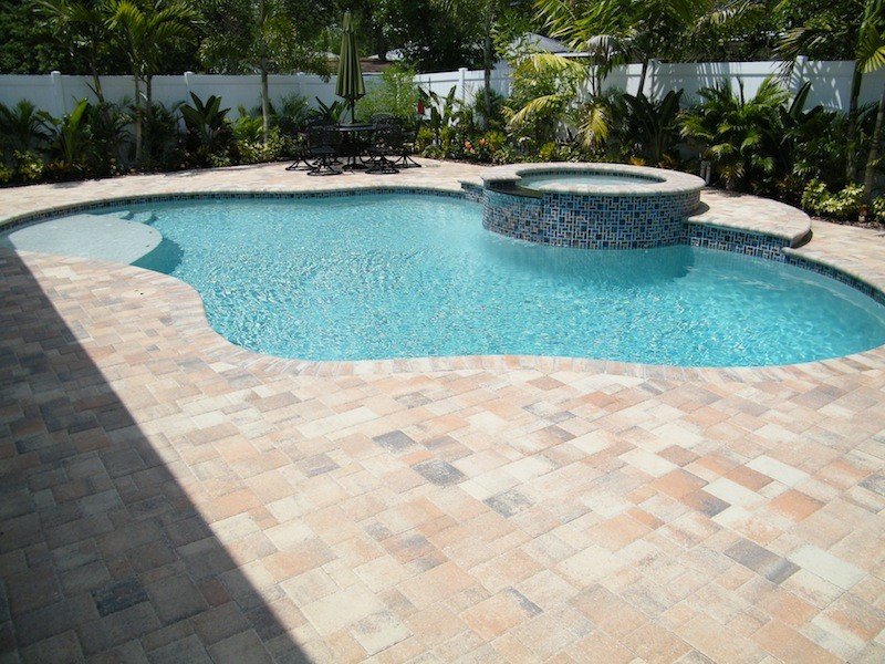 046 - Freeform Pool with Raised Spa