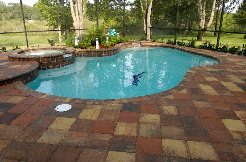 056 - Freeform Pool with Raised Spa