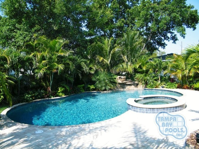 072 - Freeform Pool and Spa