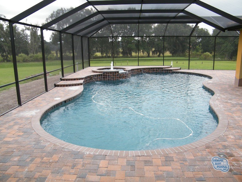 079 - Freeform Pool and Spa
