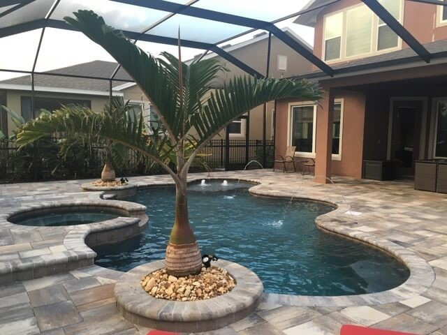 2001 - Freeform Pool and Spa