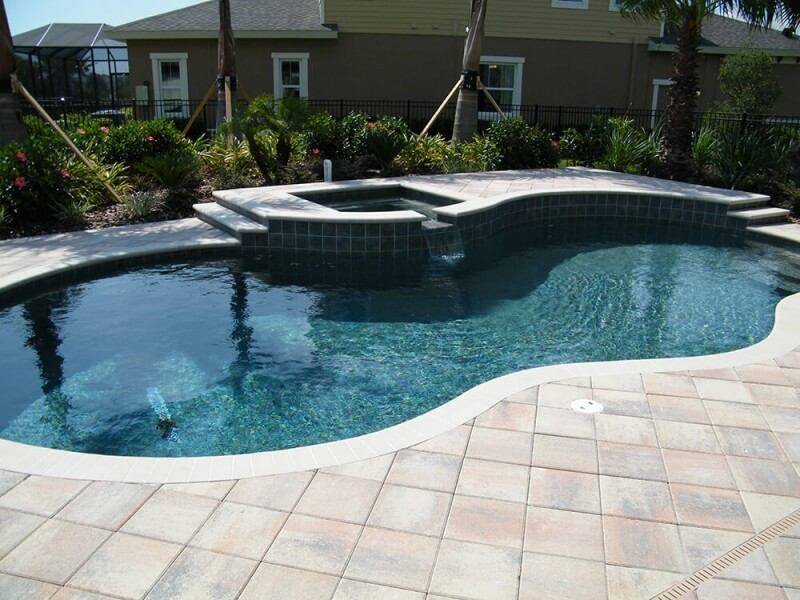 2007 - Freeform Pool with Raised Spa